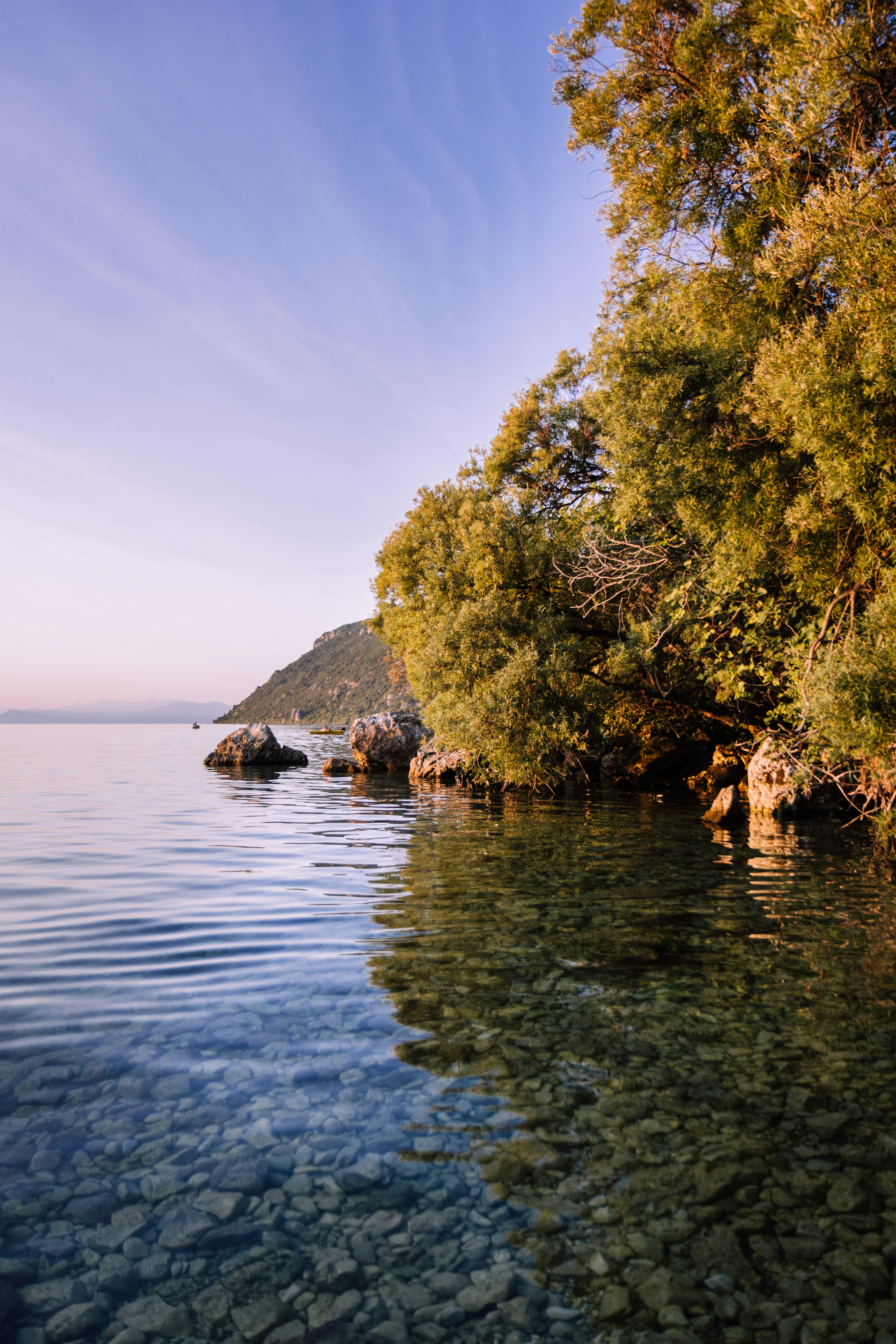 green trees on island surrounded by water during daytime